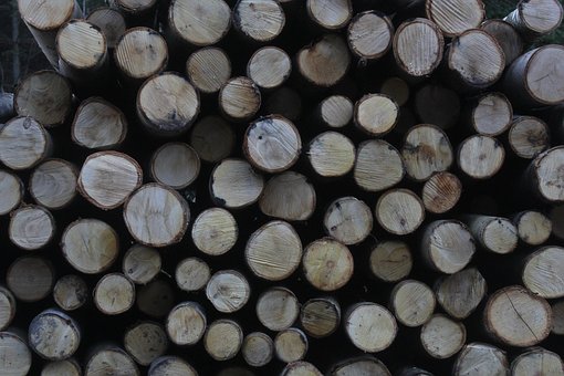 Holz, Baumstämme, Natur, Wald, Baum