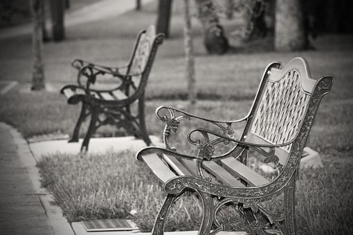 Free Benches Park photo and picture