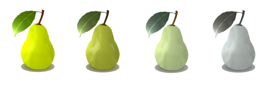 Free Fruit Pear illustration and picture