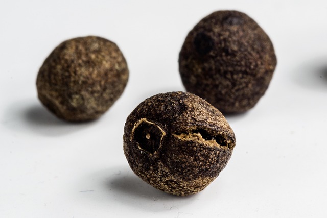 Free Pepper Macro photo and picture