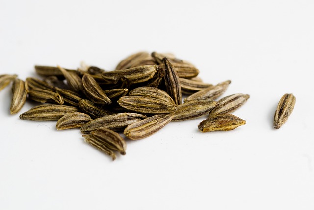 Free Kmín Pepper photo and picture