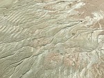 sand, branches, tendrils