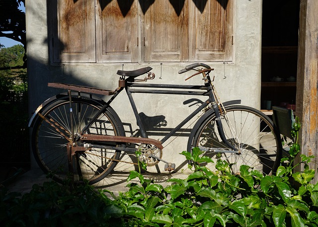 Free Bicycle Old photo and picture