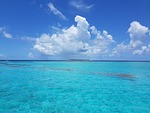 tobago cays, grenadines, tropical