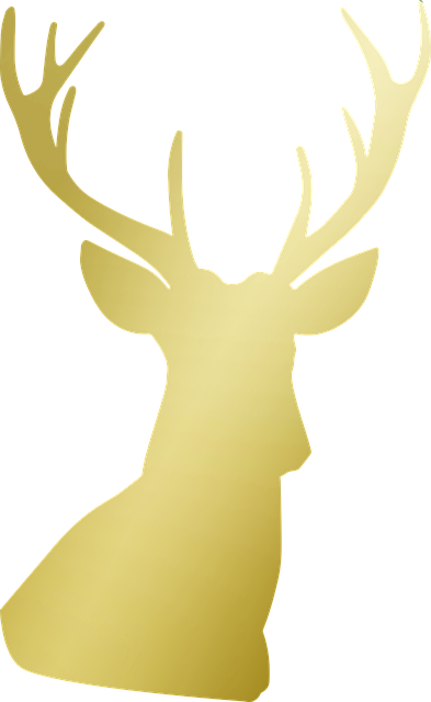 Free Deer Antlers illustration and picture