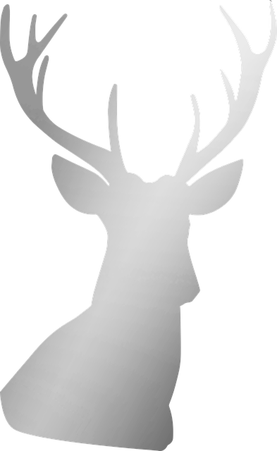 Free Silver Deer illustration and picture