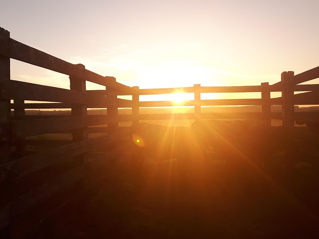Sonne, Feld, Landschaft, Bauernhof