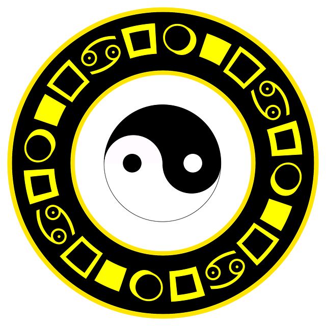 Yin-Yang, Yin Yang Logo, Shirt-Designs