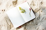 beach, coast, craft