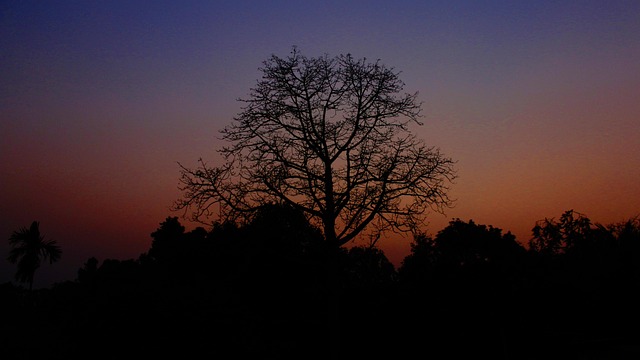 Free Nature Sunset photo and picture