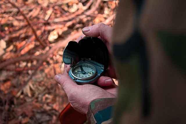 Free Knife Compass photo and picture