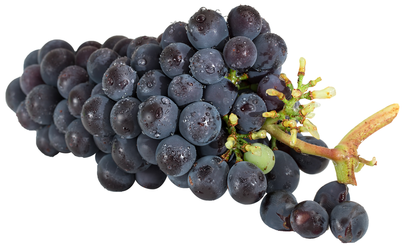 Grapes - free online jigsaw puzzle photo