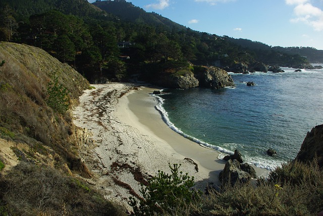Free Point Lobos Ocean photo and picture