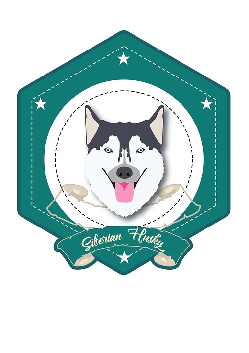 Anjing Berwarna Lucu Gambar Gratis Di Pixabay