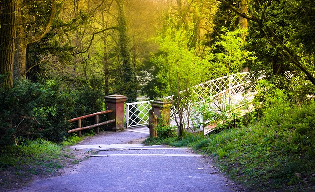 Free Bridge Path photo and picture