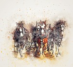horse, plowing, animal