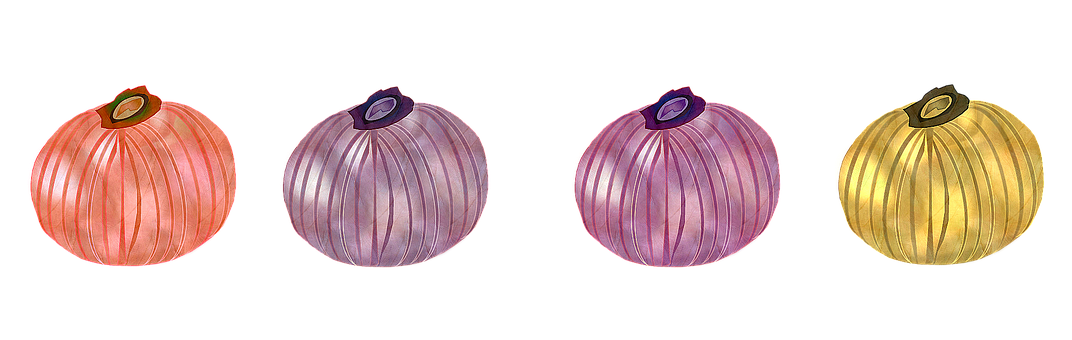 Free Onion Vegetable illustration and picture