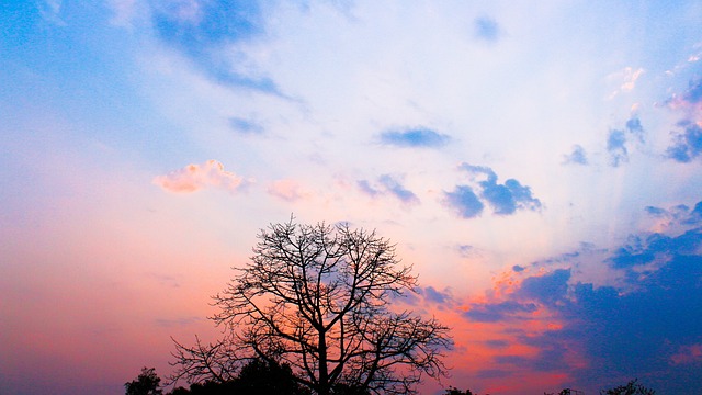 Free Nature Clouds photo and picture