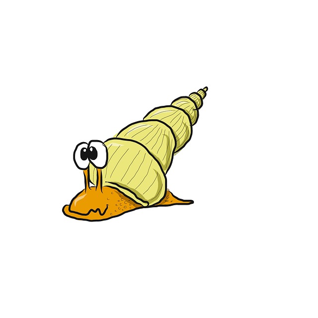 Schnecke, Gastropode, Natur, Tier
