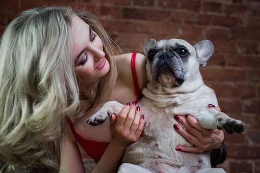 Young Woman, French Bulldog, Dog, Blonde