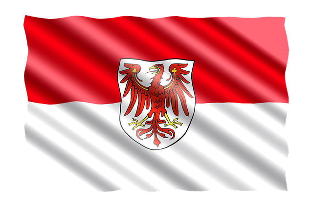Free germany banner flag illustration