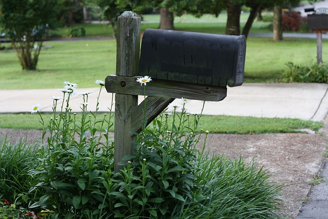 Free Mailbox Mail Box photo and picture