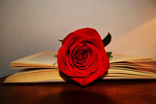 Free Book Rose photo and picture