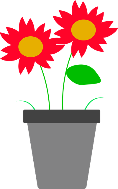 Blomst, Vase, Blomster, Dekorasjon