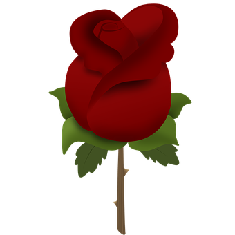 Rose, Blomster, Rød Rose, Rosenbusk