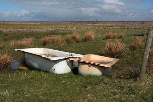Amrum, Nordsee, Vogeltränke, Schaftränke