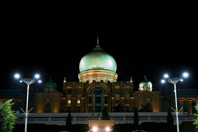 Free Night Lights photo and picture