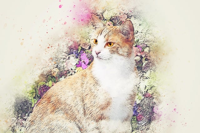 Free cat animal flowers illustration