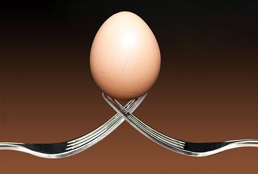 Free Forks Egg photo and picture