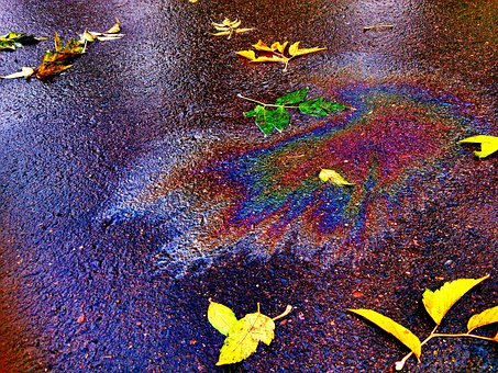 Herbst, Natur, Blätter, Herbstfarben