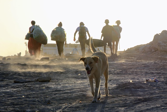 Free Beach Cleaning Garbage Collector photo and picture