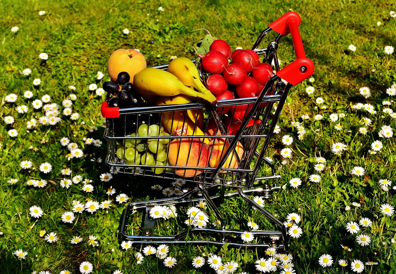 Shopping Venture - free online jigsaw puzzle photo
