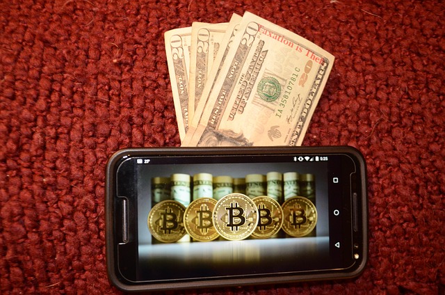 Bitcoin, Besteuerung Ist Diebstahl