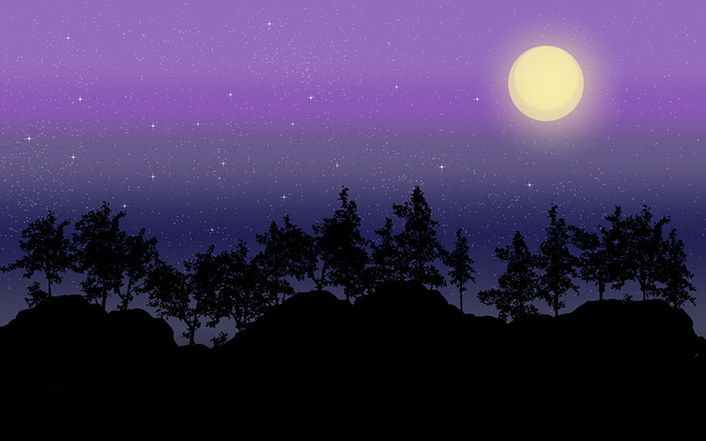 Free Night Sky Sky illustration and picture
