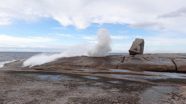 5+ Free Blowhole & Whale Images - Pixabay