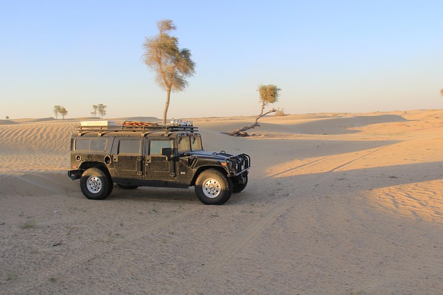 Free Hummer H1 photo and picture