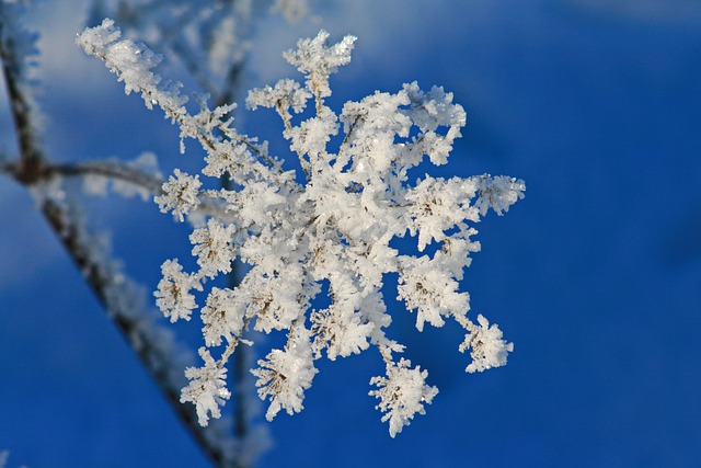 Free Blue Sky Hoarfrost photo and picture