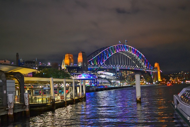 Free Bridge Night photo and picture