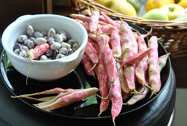 Free Beans Natural photo and picture