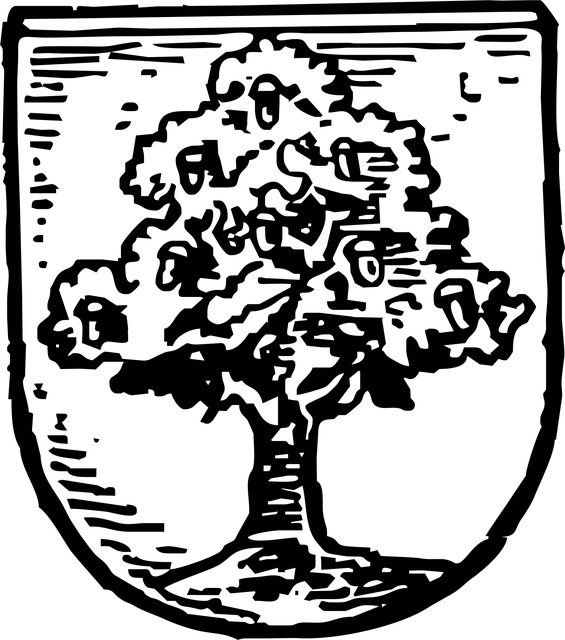 Free coat of arms wałbrzych poland vector