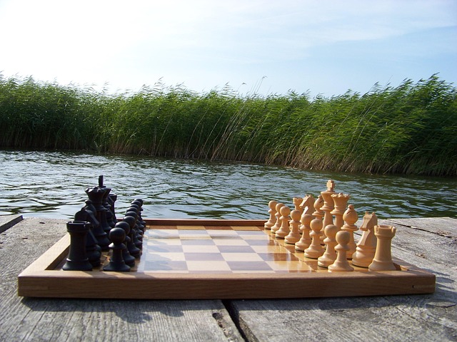 Free Chess Chess Pieces photo and picture
