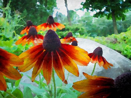 Kornblumen, Blumen, Aquarell, Garten