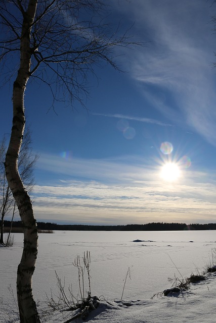 Free Sun The Spring Sun photo and picture