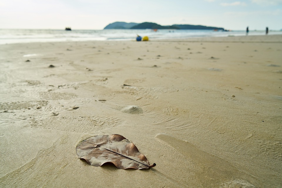 Plaj Kumsal Deniz · Pixabay�de ücretsiz fotoğraf