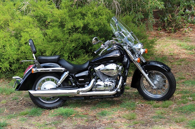 Free Honda Honda Shadow photo and picture
