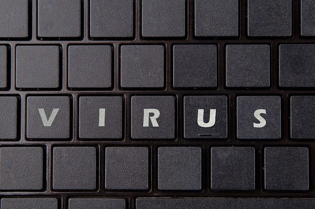 Virus, Calculator, Internet, Securitate